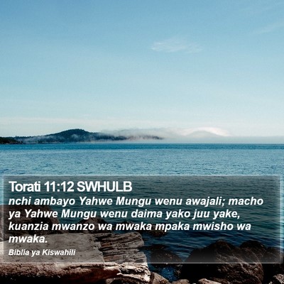 Torati 11:12 SWHULB Bible Verse Image