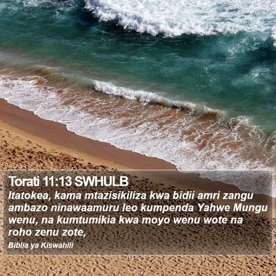 Torati 11:13 SWHULB Bible Verse Image