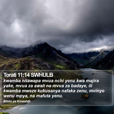 Torati 11:14 SWHULB Bible Verse Image