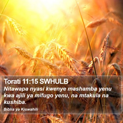 Torati 11:15 SWHULB Bible Verse Image