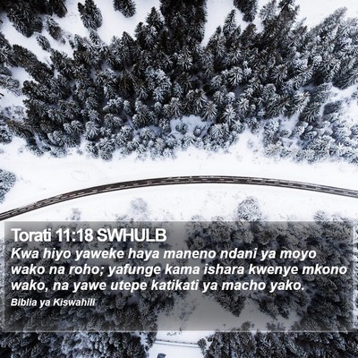 Torati 11:18 SWHULB Bible Verse Image