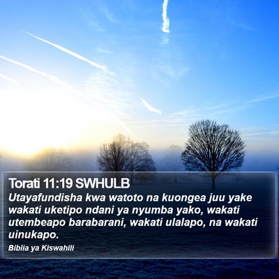 Torati 11:19 SWHULB Bible Verse Image