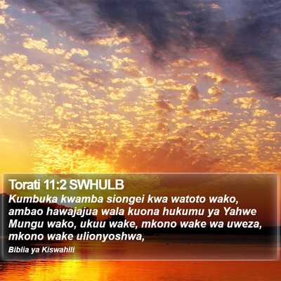 Torati 11:2 SWHULB Bible Verse Image