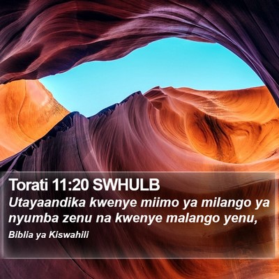 Torati 11:20 SWHULB Bible Verse Image
