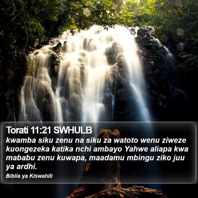Torati 11:21 SWHULB Bible Verse Image