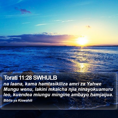 Torati 11:28 SWHULB Bible Verse Image