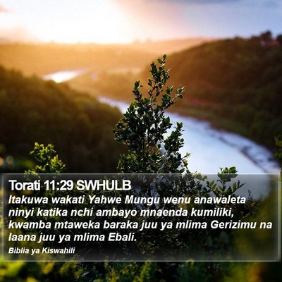 Torati 11:29 SWHULB Bible Verse Image
