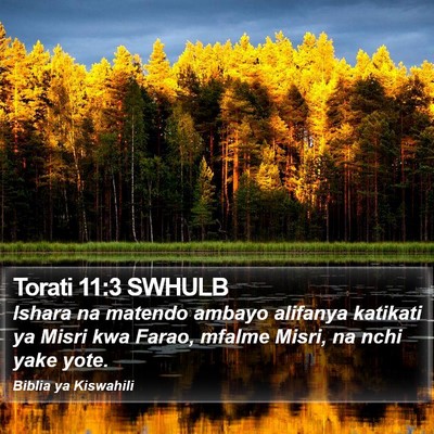 Torati 11:3 SWHULB Bible Verse Image