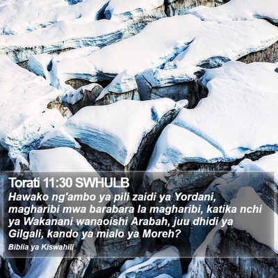 Torati 11:30 SWHULB Bible Verse Image