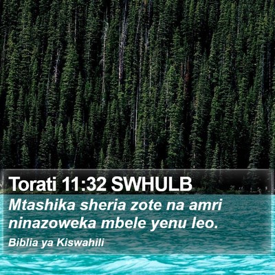 Torati 11:32 SWHULB Bible Verse Image