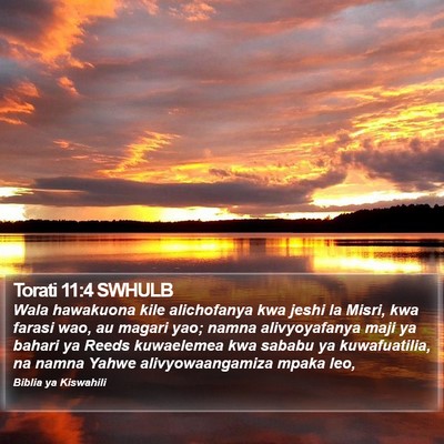 Torati 11:4 SWHULB Bible Verse Image