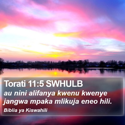 Torati 11:5 SWHULB Bible Verse Image