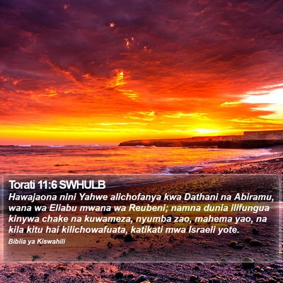 Torati 11:6 SWHULB Bible Verse Image