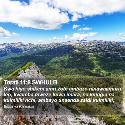 Torati 11:8 SWHULB Bible Verse Image