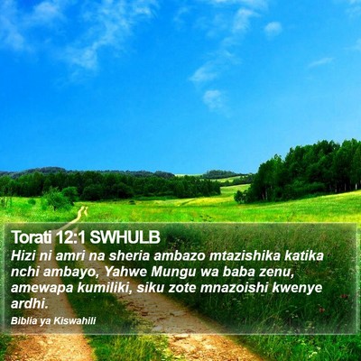 Torati 12:1 SWHULB Bible Verse Image