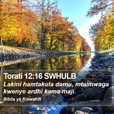 Torati 12:16 SWHULB Bible Verse Image