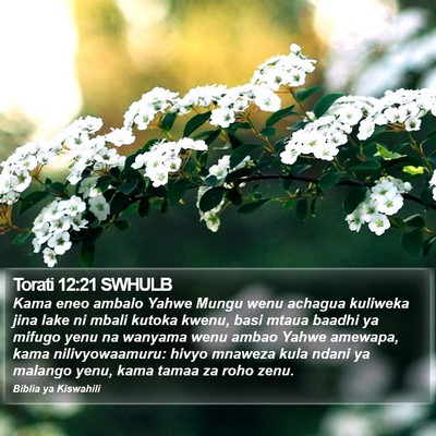 Torati 12:21 SWHULB Bible Verse Image