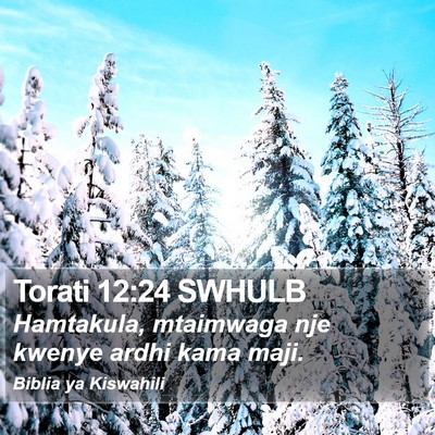 Torati 12:24 SWHULB Bible Verse Image
