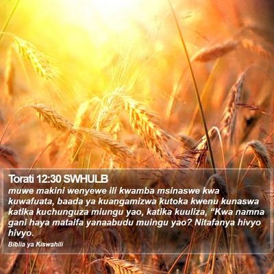 Torati 12:30 SWHULB Bible Verse Image