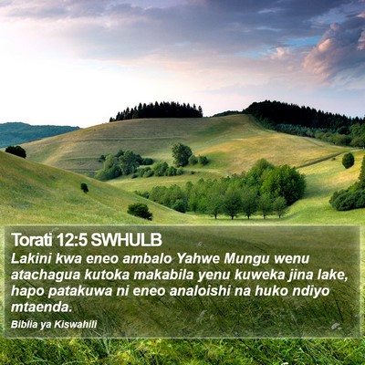 Torati 12:5 SWHULB Bible Verse Image