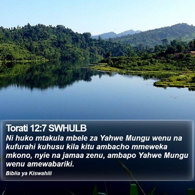Torati 12:7 SWHULB Bible Verse Image