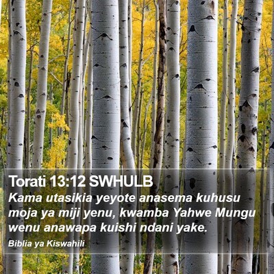 Torati 13:12 SWHULB Bible Verse Image