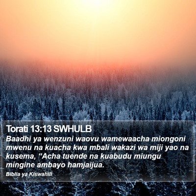Torati 13:13 SWHULB Bible Verse Image