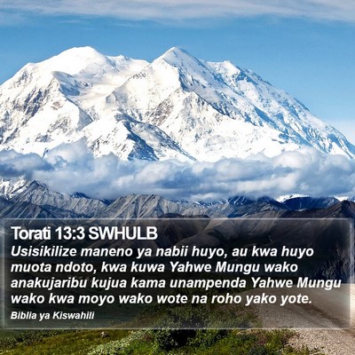 Torati 13:3 SWHULB Bible Verse Image