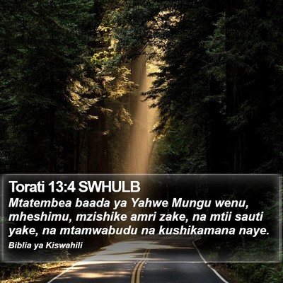 Torati 13:4 SWHULB Bible Verse Image