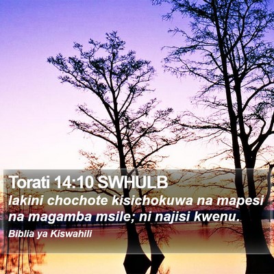 Torati 14:10 SWHULB Bible Verse Image