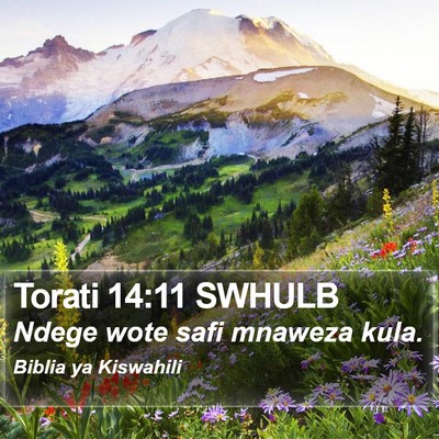 Torati 14:11 SWHULB Bible Verse Image