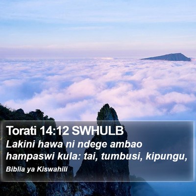 Torati 14:12 SWHULB Bible Verse Image
