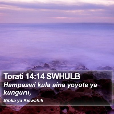 Torati 14:14 SWHULB Bible Verse Image