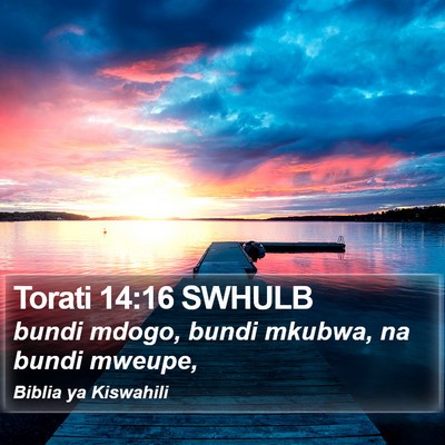 Torati 14:16 SWHULB Bible Verse Image
