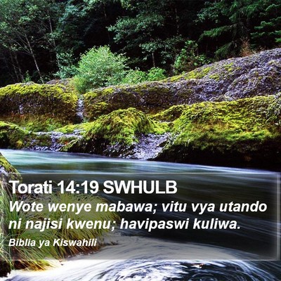 Torati 14:19 SWHULB Bible Verse Image