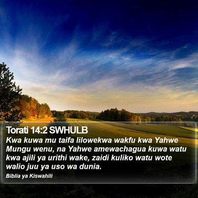Torati 14:2 SWHULB Bible Verse Image
