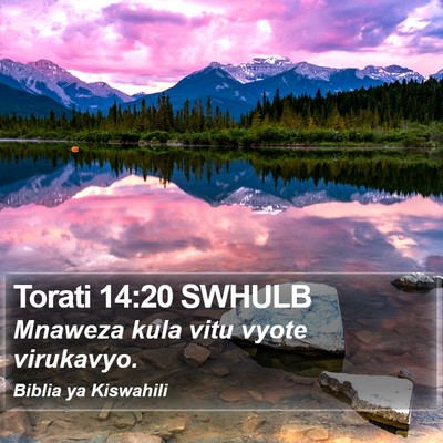 Torati 14:20 SWHULB Bible Verse Image