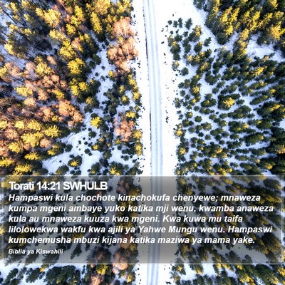 Torati 14:21 SWHULB Bible Verse Image