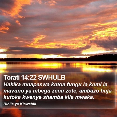 Torati 14:22 SWHULB Bible Verse Image