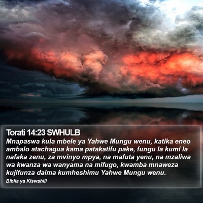 Torati 14:23 SWHULB Bible Verse Image