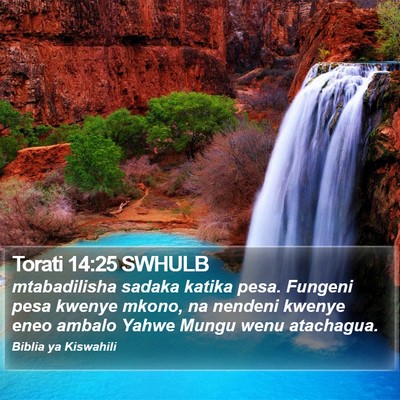 Torati 14:25 SWHULB Bible Verse Image