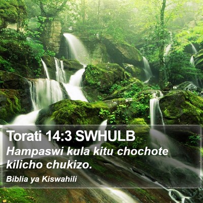 Torati 14:3 SWHULB Bible Verse Image