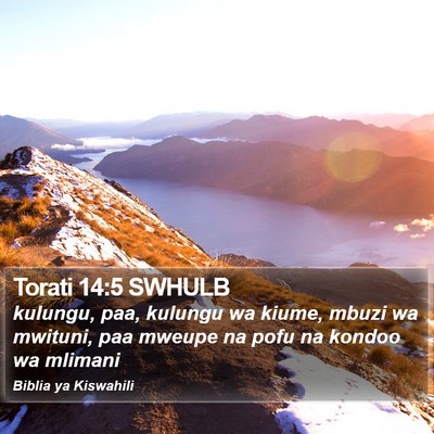 Torati 14:5 SWHULB Bible Verse Image