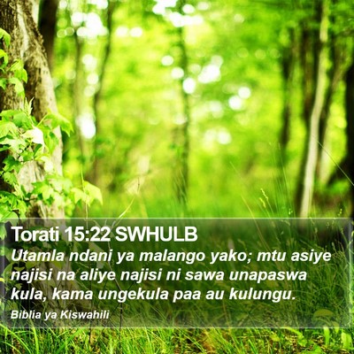 Torati 15:22 SWHULB Bible Verse Image