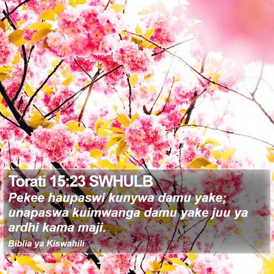 Torati 15:23 SWHULB Bible Verse Image