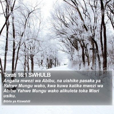 Torati 16:1 SWHULB Bible Verse Image