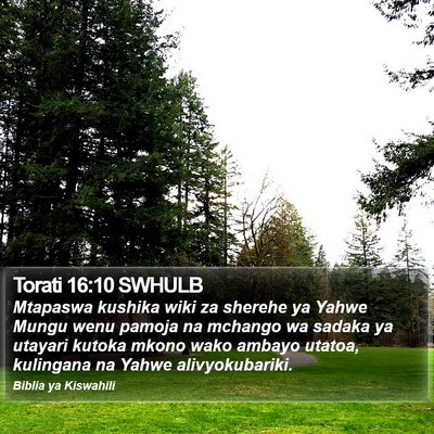 Torati 16:10 SWHULB Bible Verse Image