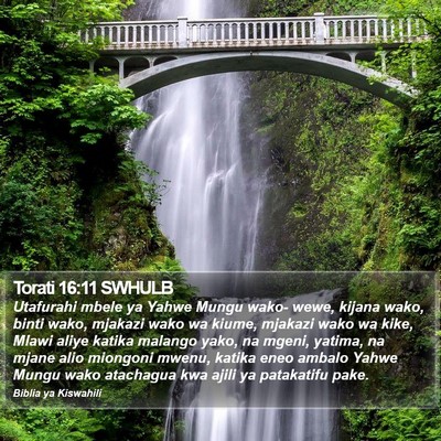 Torati 16:11 SWHULB Bible Verse Image