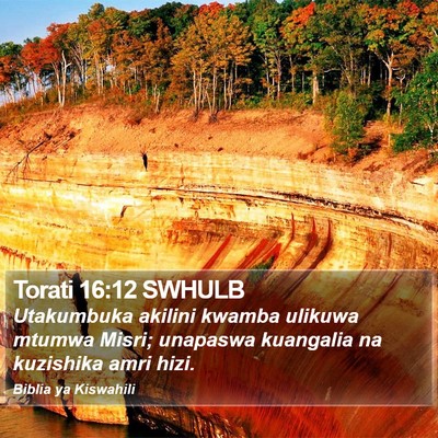 Torati 16:12 SWHULB Bible Verse Image