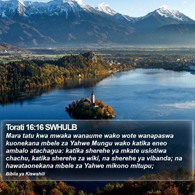 Torati 16:16 SWHULB Bible Verse Image